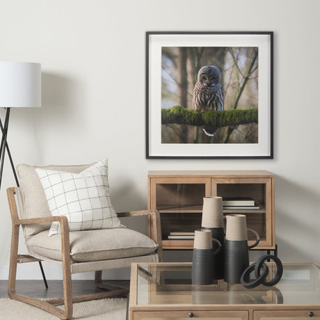 Forest Owl by Chad Mackay a Hand Embellished Textured Framed Photo Art Print Matted under Glass by Mercana at Eve Furniture