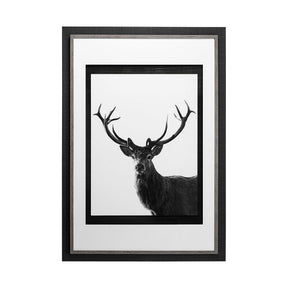 Forest Royal Grand by Matthew Roseveare Hand Embelished Textured Framed Art Photo Matted under Glass by Mercana at Eve Furniture
