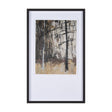 Forest View II by Mercana Studio a Hand Embellished Textured Framed Art Print Matted under Glass by Mercana at Eve Furniture