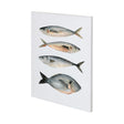 Four Fish I by Emma Scarvey a Hand Embellished Textured Canvas by Mercana at Eve Furniture