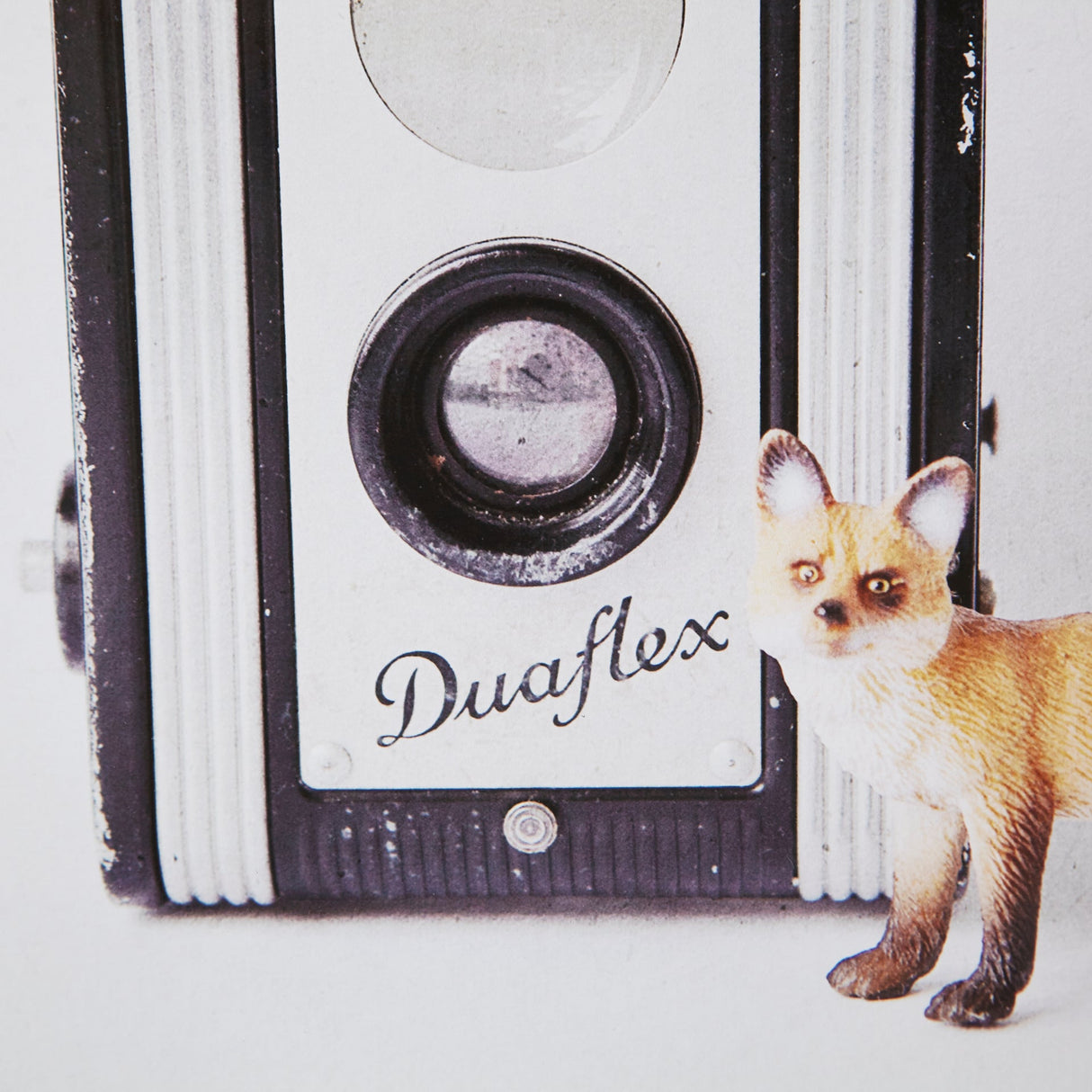 Fox & Vintage Camera by Susannah Tucker Photography a Framed Photo Art Print Matted under Glass by Mercana at Eve Furniture