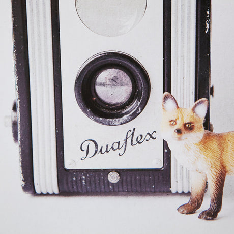 Fox & Vintage Camera by Susannah Tucker Photography a Framed Photo Art Print Matted under Glass by Mercana at Eve Furniture