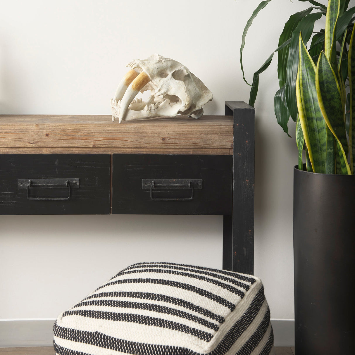 Fozzil Resin Sabretooth Skull Replica by Mercana at Eve Furniture