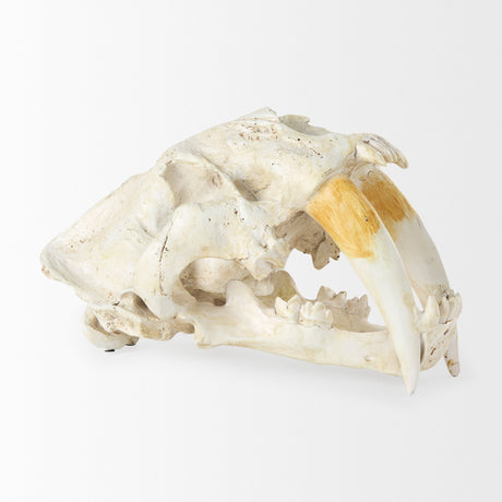 Fozzil Resin Sabretooth Skull Replica by Mercana at Eve Furniture