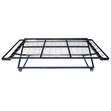 Framos Black Pop Up Trundle by Furniture of America at Eve Furniture