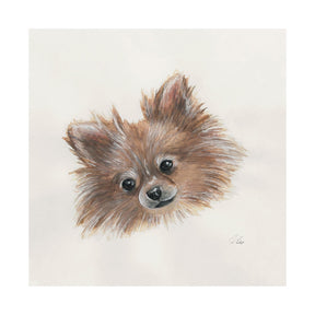 Frankie (Pomeranian 1) by Mercana Studio a Hand Embellished Textured Canvas by Mercana at Eve Furniture