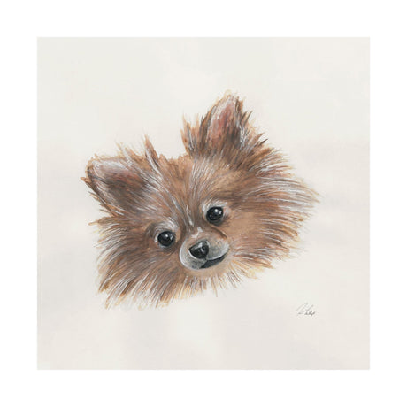 Frankie (Pomeranian 1) by Mercana Studio a Hand Embellished Textured Canvas by Mercana at Eve Furniture