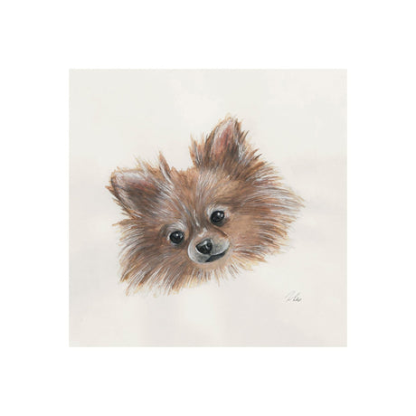 Frankie (Pomeranian 1) by Mercana Studio a Hand Embellished Textured Canvas by Mercana at Eve Furniture