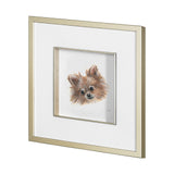 Frankie (Pomeranian 1) by Mercana Studio Hand Embellished Framed Art Print Matted under Glass by Mercana at Eve Furniture