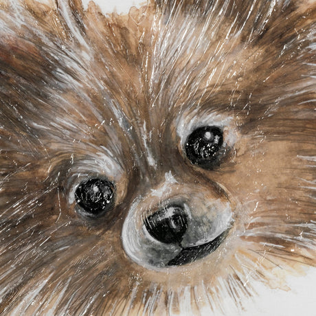 Frankie (Pomeranian 1) by Mercana Studio Hand Embellished Framed Art Print Matted under Glass by Mercana at Eve Furniture