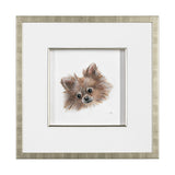 Frankie (Pomeranian 1) by Mercana Studio Hand Embellished Framed Art Print Matted under Glass by Mercana at Eve Furniture