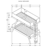Frankie Van Courtland Blue and Natural Wood Twin Over Twin Bunk Bed by Coaster at Eve Furniture