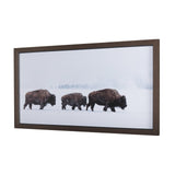 Frozen Trek by Mercana Studio a Hand Embellished Textured Framed Photo Art Print Matted under Glass by Mercana at Eve Furniture