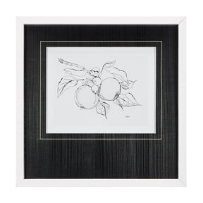 Fruit Sketch Apple by Mercana Studio a Hand Embellished Textured Framed Art Print Matted under Glass by Mercana at Eve Furniture