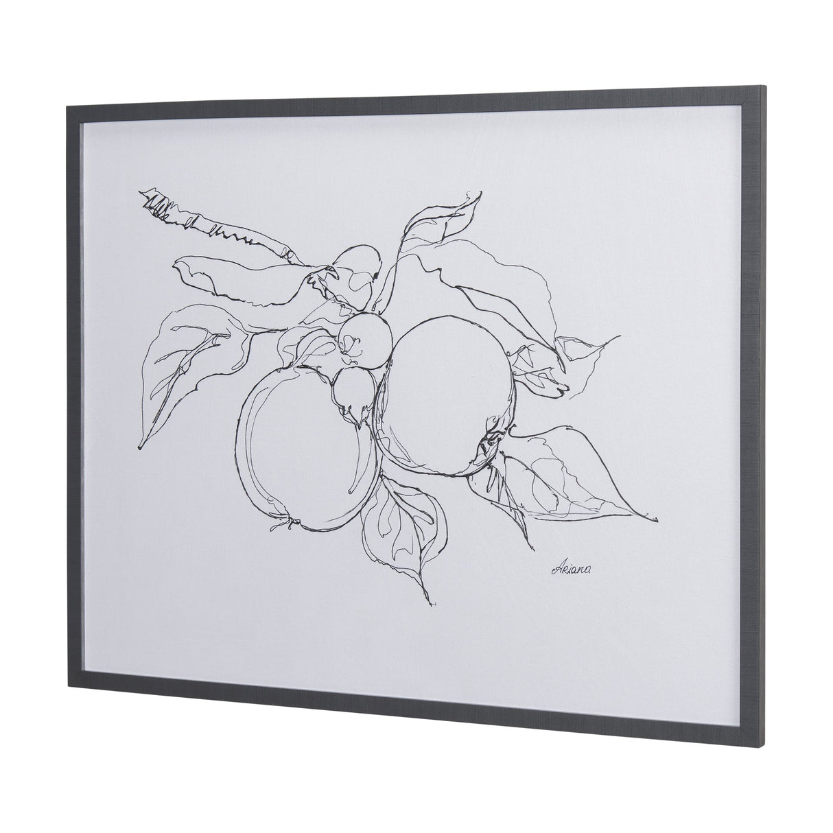 Fruit Sketch Apple by Mercana Studio a Hand Embellished Textured Framed Art Print by Mercana at Eve Furniture