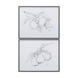 Fruit Sketch Apple by Mercana Studio a Hand Embellished Textured Framed Art Print by Mercana at Eve Furniture