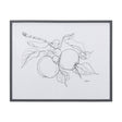 Fruit Sketch Apple by Mercana Studio a Hand Embellished Textured Framed Art Print by Mercana at Eve Furniture