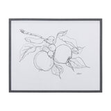 Fruit Sketch Apple by Mercana Studio a Hand Embellished Textured Framed Art Print by Mercana at Eve Furniture