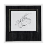 Fruit Sketch Pear by Mercana Studio a Hand Embellished Textured Framed Art Print Matted under Glass by Mercana at Eve Furniture