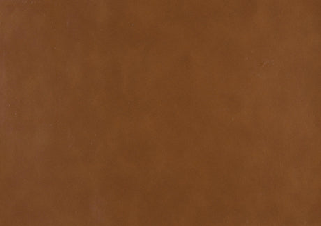 Gabe Brown Accent Chair by Homelegance at Eve Furniture