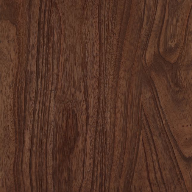 Gaetan Bookcase Brown by Dovetail at Eve Furniture
