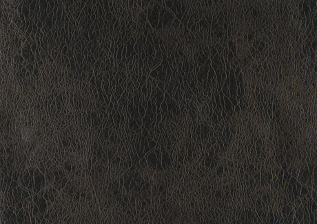 Gainesville Chocolate Microfiber Double Reclining Living Room Set by Homelegance at Eve Furniture