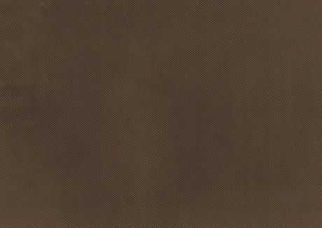 Garrell Brown Velvet Lift Top Storage Bench with Pull-out Bed by Homelegance at Eve Furniture