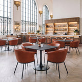 Garston Brown Dining Chair by Zuomod at Eve Furniture