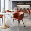 Garston Brown Dining Chair by Zuomod at Eve Furniture