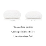 Gel Convolution White Queen High Loft Pillow by Malouf at Eve Furniture