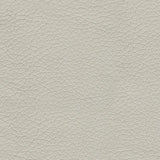 Genoa Coconut Queen Sofa Sleeper by Ashley at Eve Furniture