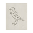 Geo Robin by Mercana Studio a Hand Embellished Textured Canvas by Mercana at Eve Furniture
