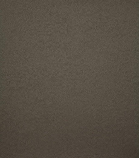 Gervase Gray/Chrome Square Bar Stool by Coaster at Eve Furniture