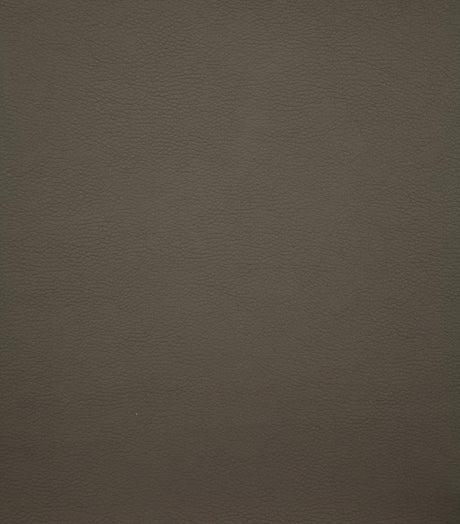 Gervase Gray/Chrome Square Counter Height Stool by Coaster at Eve Furniture