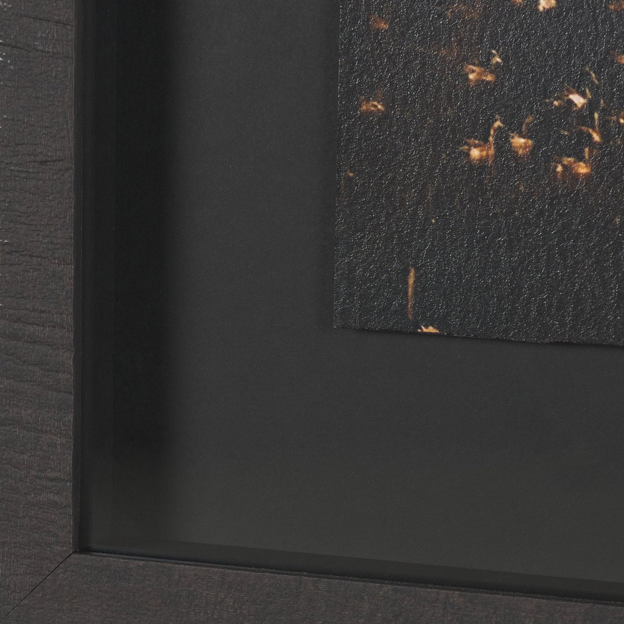 Gilded Flight by Chad Mackay Textured Framed Photo Print Matted under Glass (Set of 2) by Mercana at Eve Furniture