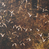 Gilded Flight by Chad Mackay Textured Framed Photo Print Matted under Glass (Set of 2) by Mercana at Eve Furniture