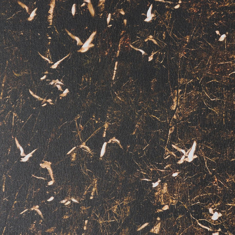 Gilded Flight by Chad Mackay Textured Framed Photo Print Matted under Glass (Set of 2) by Mercana at Eve Furniture