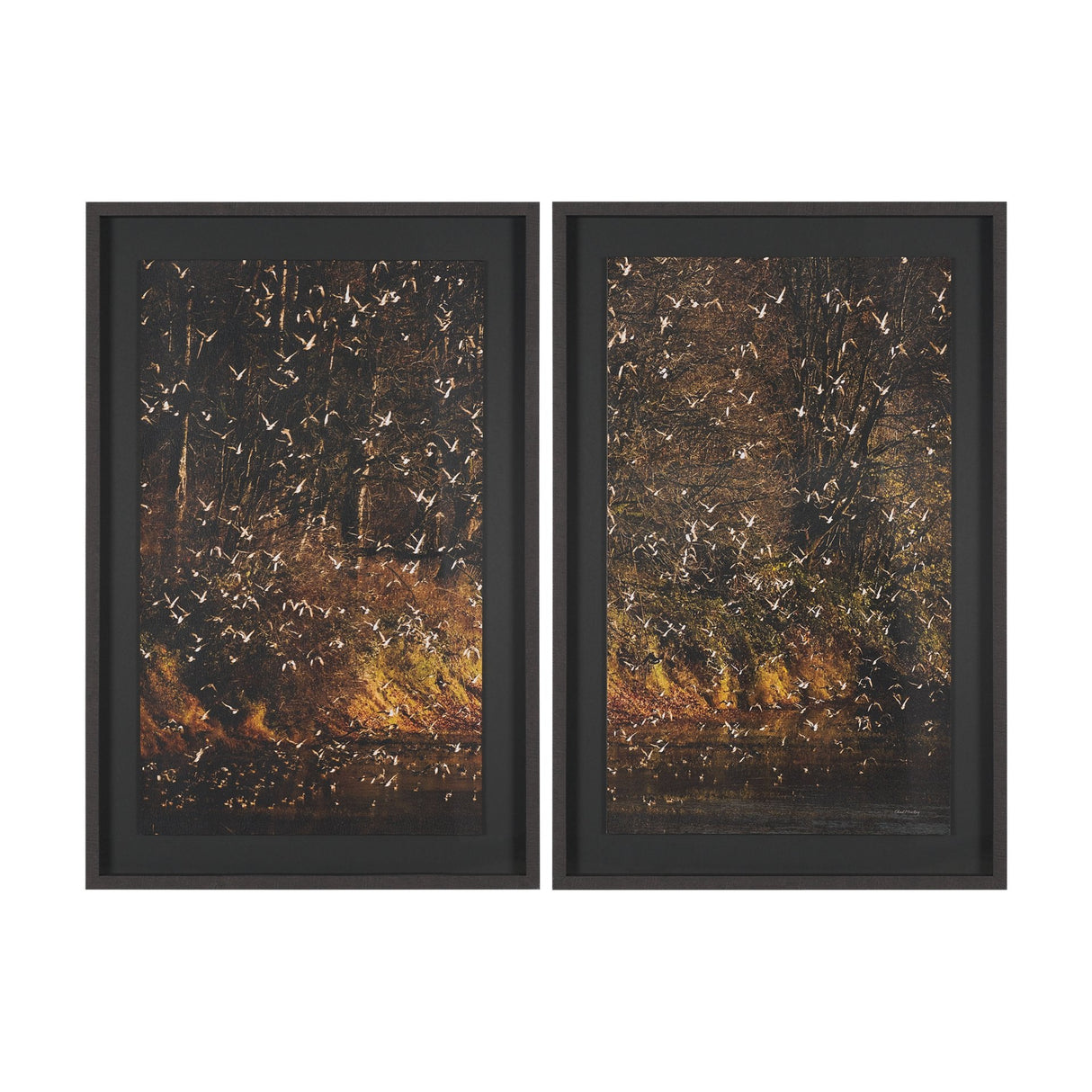 Gilded Flight by Chad Mackay Textured Framed Photo Print Matted under Glass (Set of 2) by Mercana at Eve Furniture