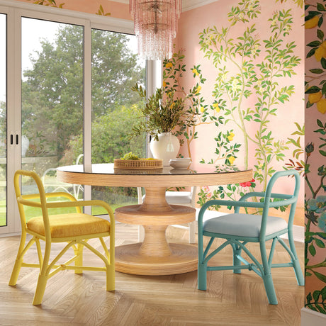 Ginny Rattan Dining Chair by TOV Furniture at Eve Furniture