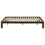 Gislen Walnut Twin Easy Assembly Wood Platform Bed by Coaster at Eve Furniture