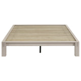 Gislen White Queen Easy Assembly Wood Platform Bed by Coaster at Eve Furniture
