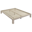 Gislen White Queen Easy Assembly Wood Platform Bed by Coaster at Eve Furniture
