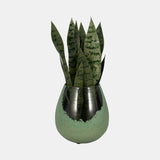 Glass, 8" Dipped Vase, Green