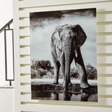 Glinyard Black/White Wall Art