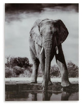 Glinyard Black/White Wall Art by Ashley at Eve Furniture