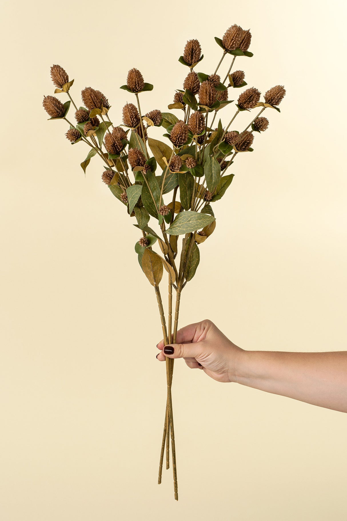Globe Amaranth Spray, Set of 24 by Mercana at Eve Furniture