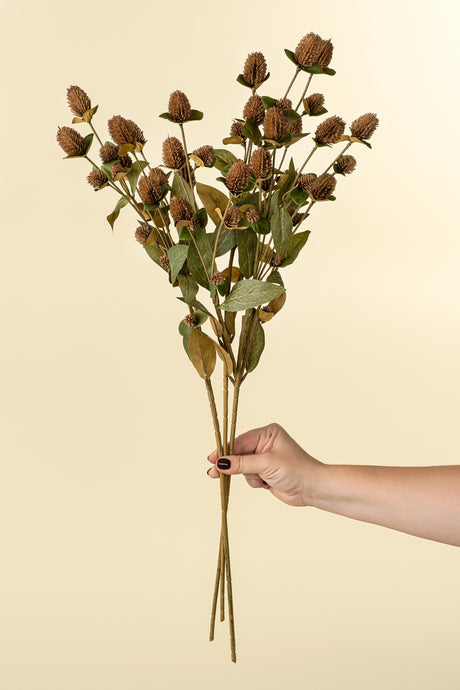 Globe Amaranth Spray, Set of 24 by Mercana at Eve Furniture