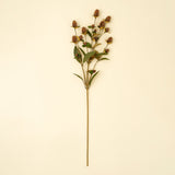 Globe Amaranth Spray, Set of 24 by Mercana at Eve Furniture