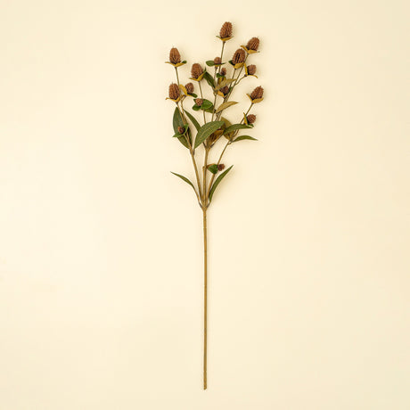 Globe Amaranth Spray, Set of 24 by Mercana at Eve Furniture