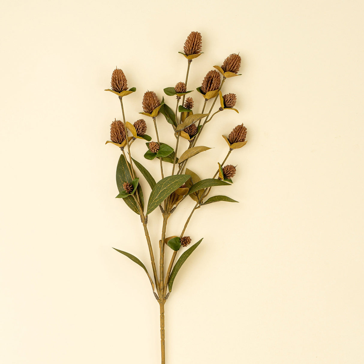 Globe Amaranth Spray, Set of 24 by Mercana at Eve Furniture